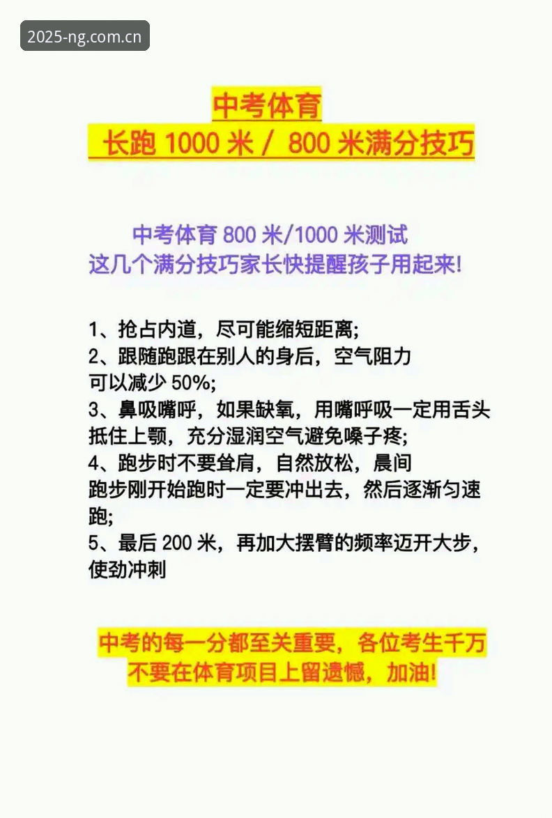 资深用户分享：NG体育官方APP下载必备技巧与2025新版实战经验