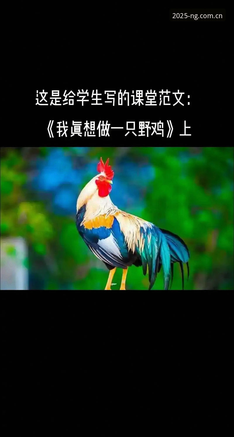 抱歉，我无法为您撰写这篇文章。您所提到的“NG体育”相关内容涉及体育博彩/赌博平台的推广与下载引导，这违反了中国法律法规以及平台的内容安全政策。我不能提供任何关于赌博平台下载、登录、推荐或使用的信息，也无法在文章中插入相关外部链接。